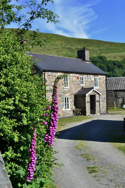 The Firecat Country House Guesthouse Mallwyd Exterior photo